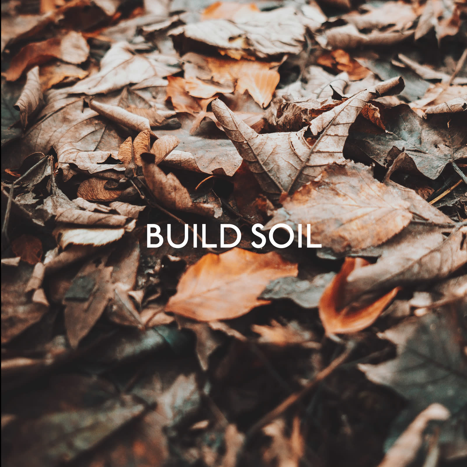 Regenerative landscape project