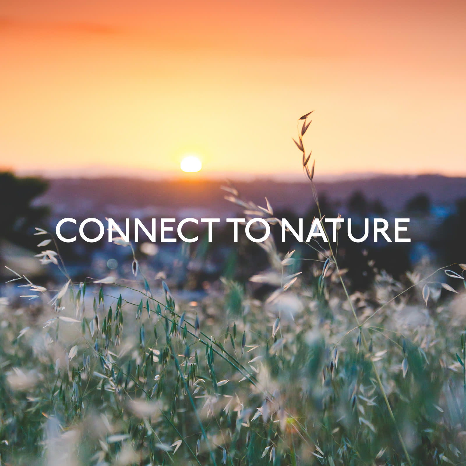 Regenerative landscape project