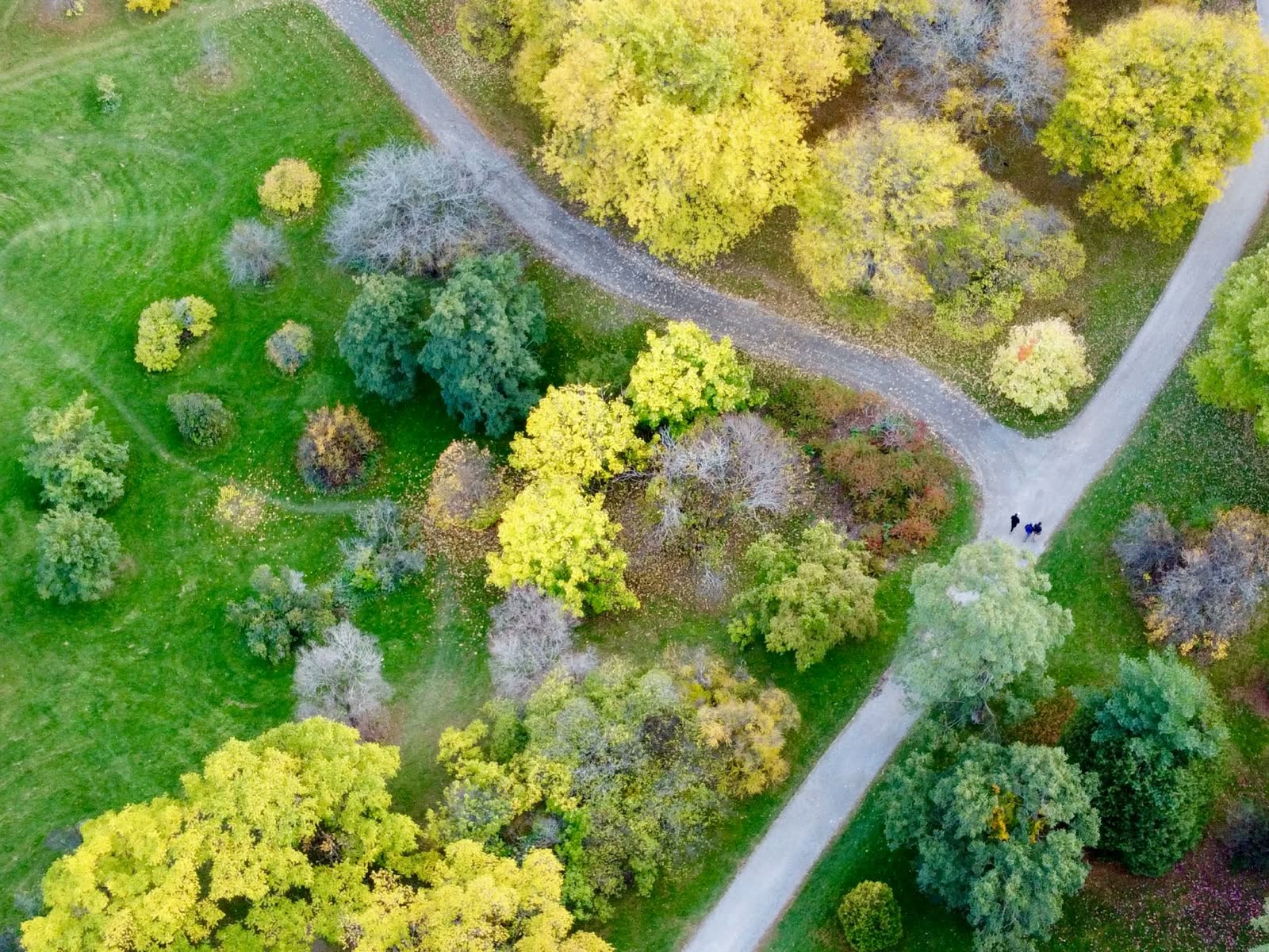 Regenerative landscape project